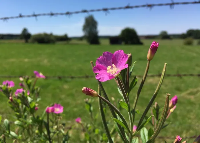 Bayernwinkel - Yoga & Ayurveda Bad Wörishofen