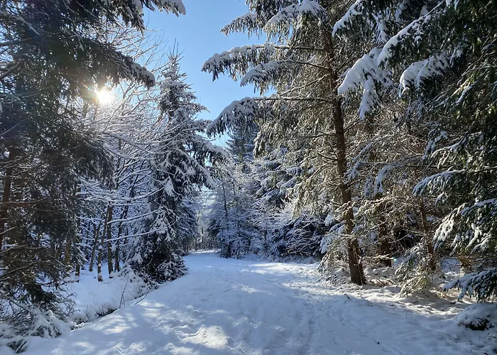 Bayernwinkel - Yoga & Ayurveda Hotel